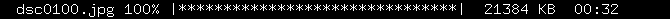 Progress bar at 100%